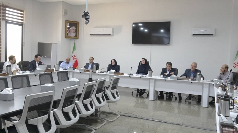 نشست تخصصی سازمان فناوری های نوین آب های جوی با خبرگان حوزه فناوری آب جوی